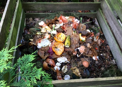 laub kompostieren küchenabfälle